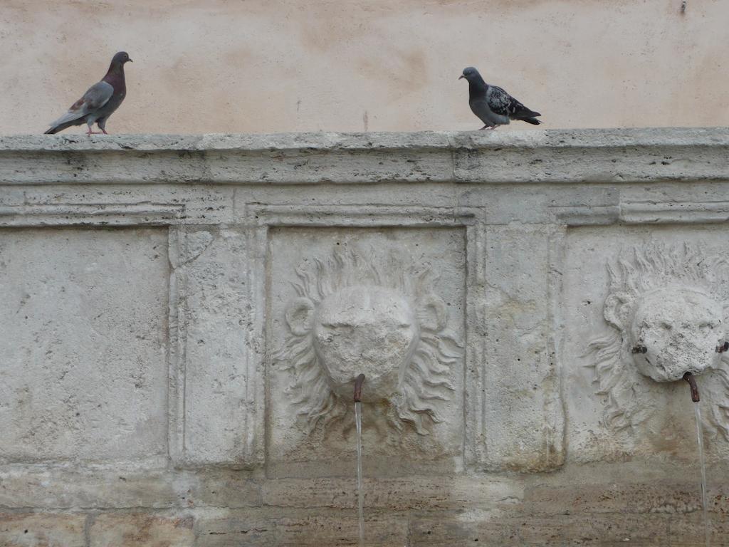 Villa Rosy Assisi Exterior photo