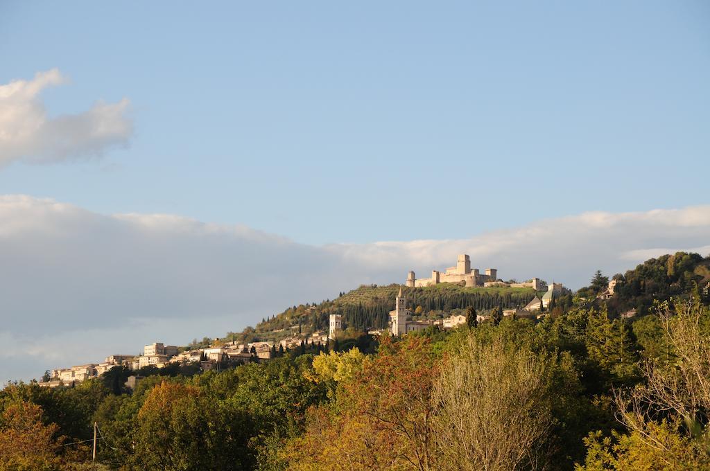 Villa Rosy Assisi Exterior photo