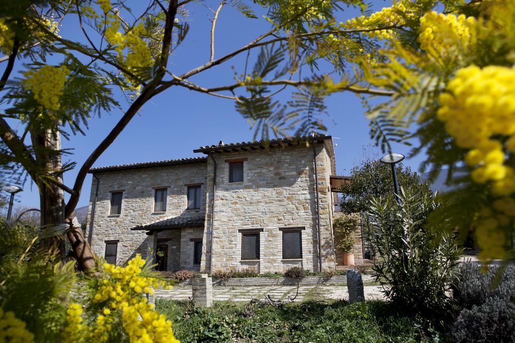 Villa Rosy Assisi Exterior photo